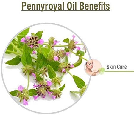 Salvia Natural Essential Oils Pennyroyal Oil (Mentha Pulegium) 100% Natural Pure Essential Oil Fights Germs, Soothes Skin Conditions, Insect Repellent Salvia Natural Essential Oils Pennyroyal Oil (Mentha Pulegium) 100% Natural Pure Essential Oil Fights Germs, Soothes Skin Conditions, Insect Repellent